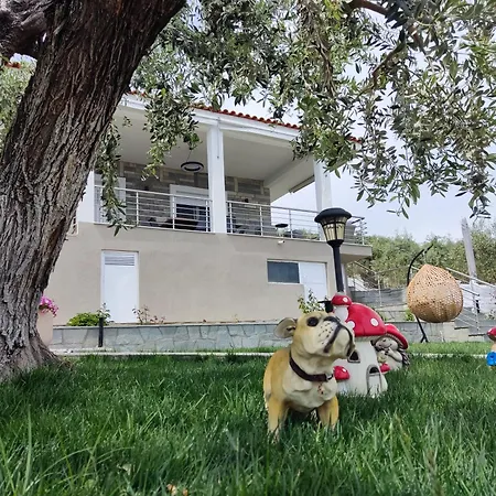 Villa Alexandra Eleftheres (Kavala)