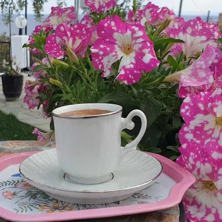 Вилла Alexandra Eleftheres (Kavala)