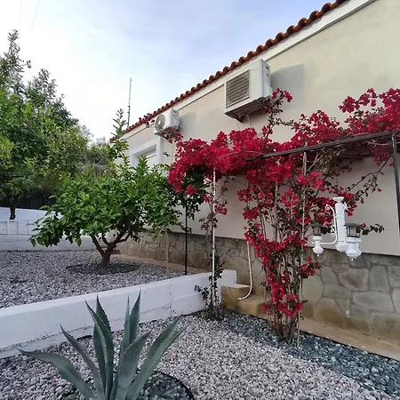 Alexandra Villa Eleftheres (Kavala)