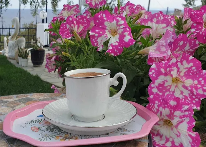 别墅 Alexandra Elevtheraí