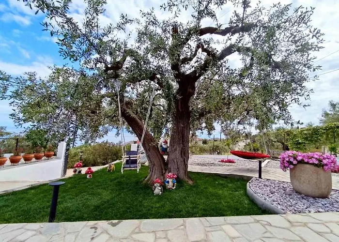 Alexandra Elevtheraí